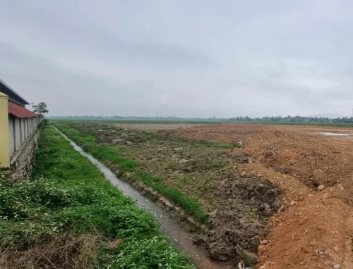 Công ty dệt may Thăng Long bị phạt 180 triệu đồng vì san lấp trái phép đất nông nghiệp