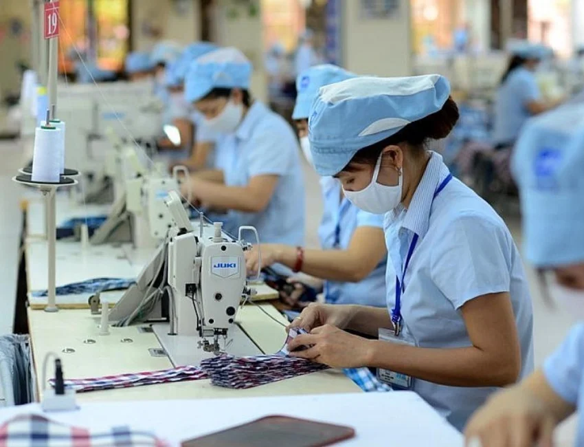 Hai doanh nghiệp dệt may nợ thuế quá hạn bị "tạm đình chỉ" hóa đơn