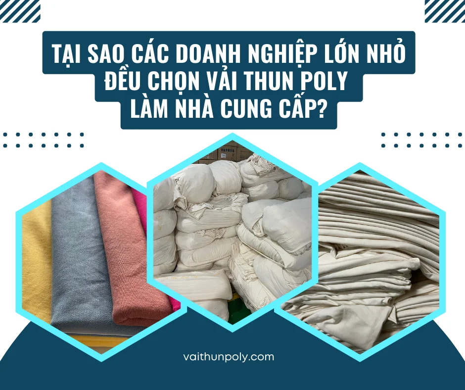 💥TẠI SAO CÁC DOANH NGHIỆP LỚN NHỎ ĐỀU CHỌN VẢI THUN POLY LÀM NHÀ CUNG CẤP?